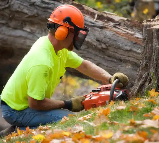 tree services Rittman